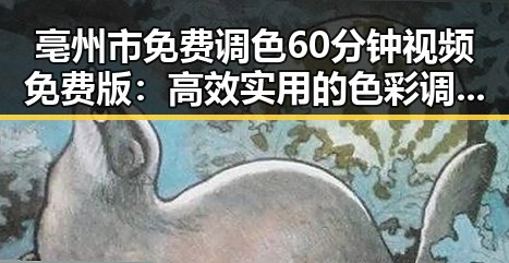 亳州市免费调色60分钟视频免费版：高效实用的色彩调配工具