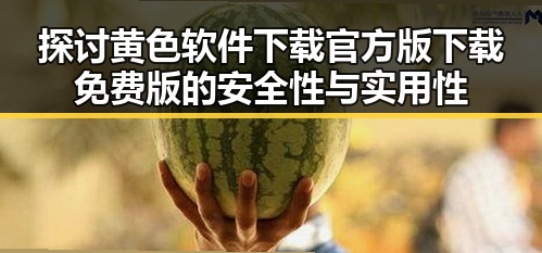 探讨黄色软件下载官方版下载免费版的安全性与实用性