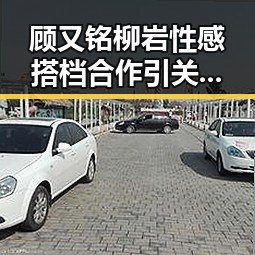 顾又铭柳岩性感搭档合作引关注，探讨已满十八岁在线看电视剧官方版的现状
