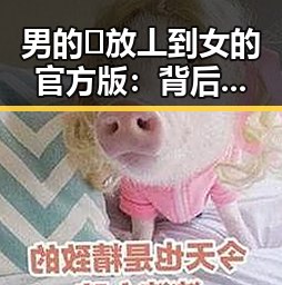 男的🈚放丄到女的官方版：背后解读与分析