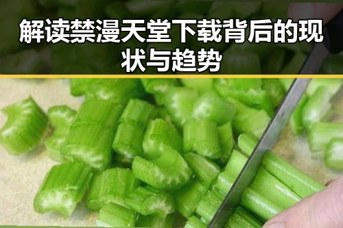 解读禁漫天堂下载背后的现状与趋势