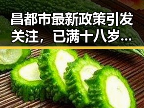 昌都市最新政策引发关注，已满十八岁在线看电视剧成为新趋势
