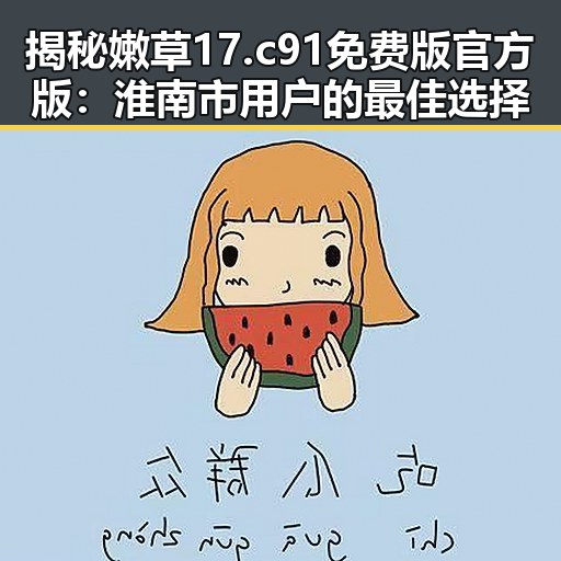 揭秘嫩草17.c 91免费版官方版：淮南市用户的最佳选择