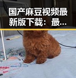 国产麻豆视频最新版下载：最新资源全面介绍