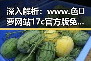 深入解析：www.色😍萝网站17c官方版免费版的现状与发展