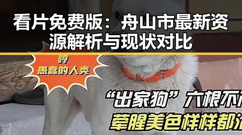看片免费版：舟山市最新资源解析与现状对比