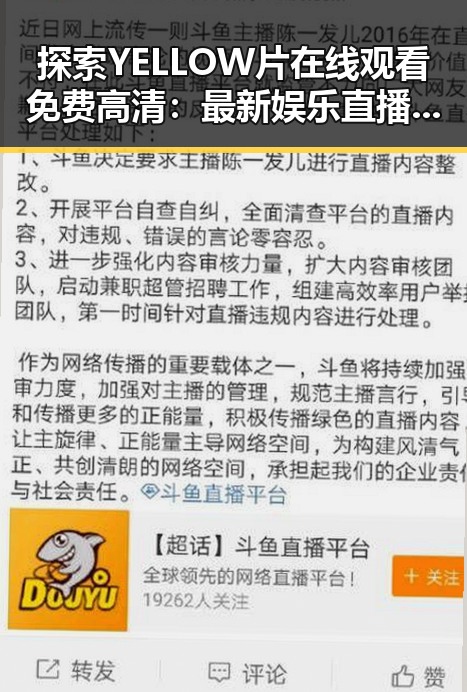 探索YELLOW片在线观看免费高清：最新娱乐直播平台介绍