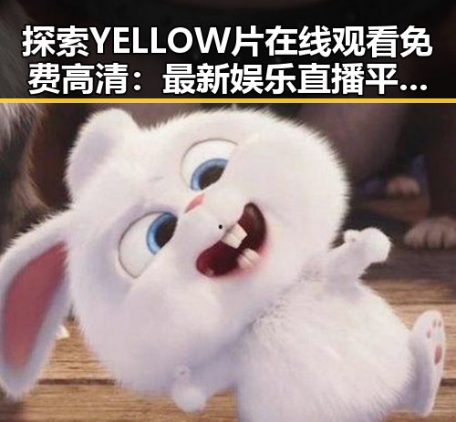探索YELLOW片在线观看免费高清：最新娱乐直播平台介绍
