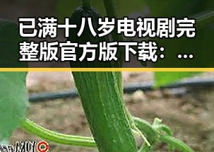 已满十八岁电视剧完整版官方版下载：最新资源全解析