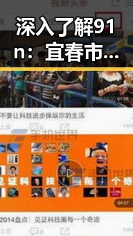 深入了解91n：宜春市的热门数字背后故事