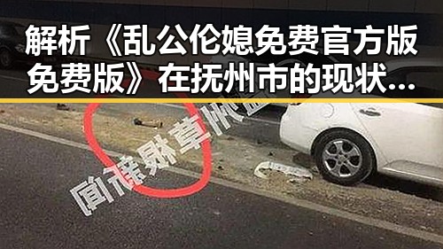 解析《乱公伦媳免费官方版免费版》在抚州市的现状与影响