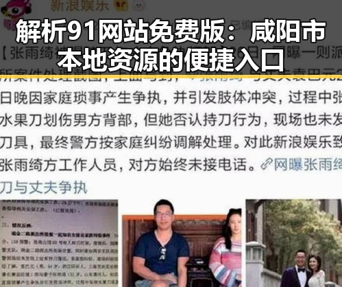 解析91网站免费版：咸阳市本地资源的便捷入口