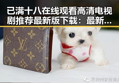 已满十八在线观看高清电视剧推荐最新版下载：最新资源分享与安全指南