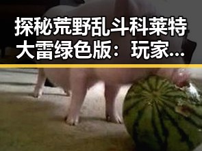 探秘荒野乱斗科莱特大雷绿色版：玩家体验的新高潮