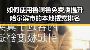 如何使用鲁啊鲁免费版提升哈尔滨市的本地搜索排名