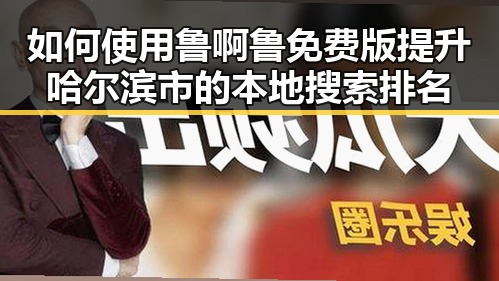 如何使用鲁啊鲁免费版提升哈尔滨市的本地搜索排名