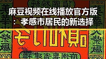 麻豆视频在线播放官方版:孝感市居民的新选择