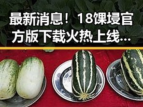 最新消息！18馃埐官方版下载火热上线，雅安市用户纷纷体验