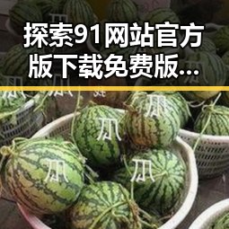 探索91网站官方版下载免费版:齐齐哈尔市用户的理想选择