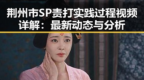 荆州市SP责打实践过程视频详解：最新动态与分析