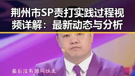 荆州市SP责打实践过程视频详解:最新动态与分析