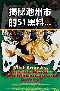 揭秘池州市的51黑料与免费版：背后的真相与分析
