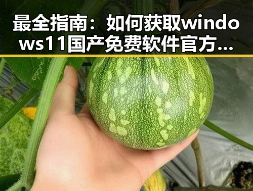 最全指南：如何获取windows11国产免费软件官方版的稳定体验
