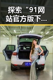 探索“91网站官方版下载免费版”的全面体验与实用指南