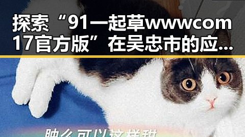 探索“91 一起草wwwcom17官方版”在吴忠市的应用与发展