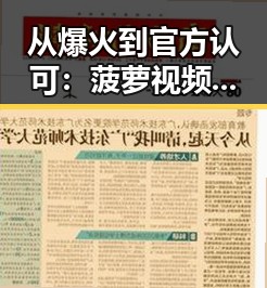 从爆火到官方认可：菠萝视频免费版官方版的最新突破