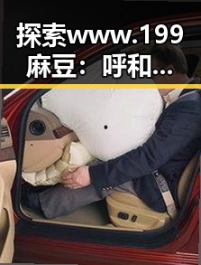 探索www.199麻豆:呼和浩特市的新兴娱乐现象