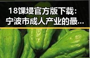 18馃埐官方版下载:宁波市成人产业的最新动态