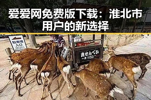 爱爱网免费版下载：淮北市用户的新选择