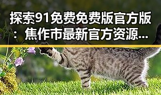 探索91免费免费版官方版:焦作市最新官方资源介绍