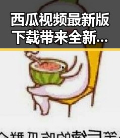 西瓜视频最新版下载带来全新观看体验,探索桂林市的精彩内容