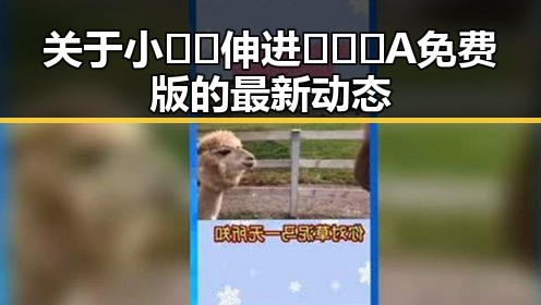 关于小🐔🐔伸进🈲🔞🔞A免费版的最新动态