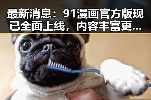 最新消息:91漫画官方版现已全面上线,内容丰富更新迅速