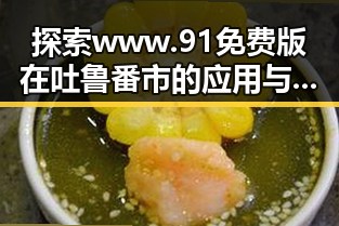 探索www.91免费版在吐鲁番市的应用与发展