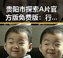 贵阳市探索A片官方版免费版：行业现状与发展趋势