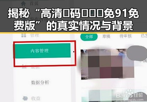 揭秘“高清🈚码🔞❌♋免91免费版”的真实情况与背景
