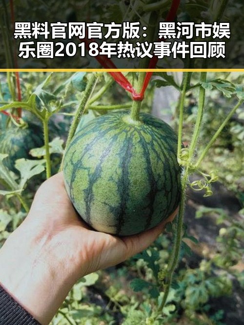 黑料 官网官方版:黑河市娱乐圈2018年热议事件回顾