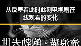 从反差看此时此刻电视剧在线观看的变化