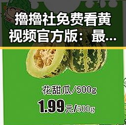 擼擼社免费看黄 视频官方版：最新动态与特点解析