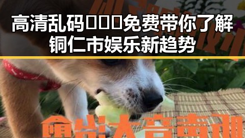 高清乱码🔞❌♋免费带你了解铜仁市娱乐新趋势