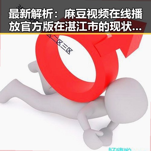 最新解析：麻豆视频在线播放官方版在湛江市的现状与发展