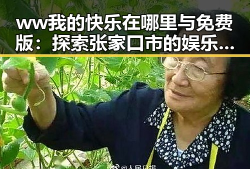 ww我的快乐在哪里与免费版：探索张家口市的娱乐与分享新趋势