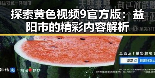 探索黄色视频9官方版：益阳市的精彩内容解析