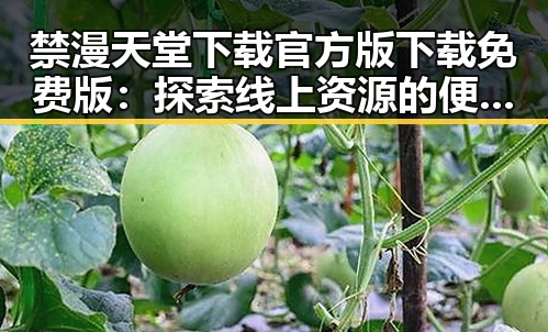 禁漫天堂下载官方版下载免费版：探索线上资源的便捷选择