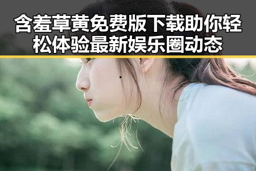 含羞草黄免费版下载助你轻松体验最新娱乐圈动态