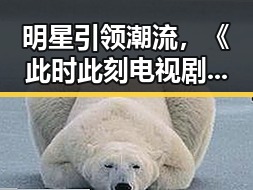 明星引领潮流,《此时此刻电视剧在线观看》成最新热议话题